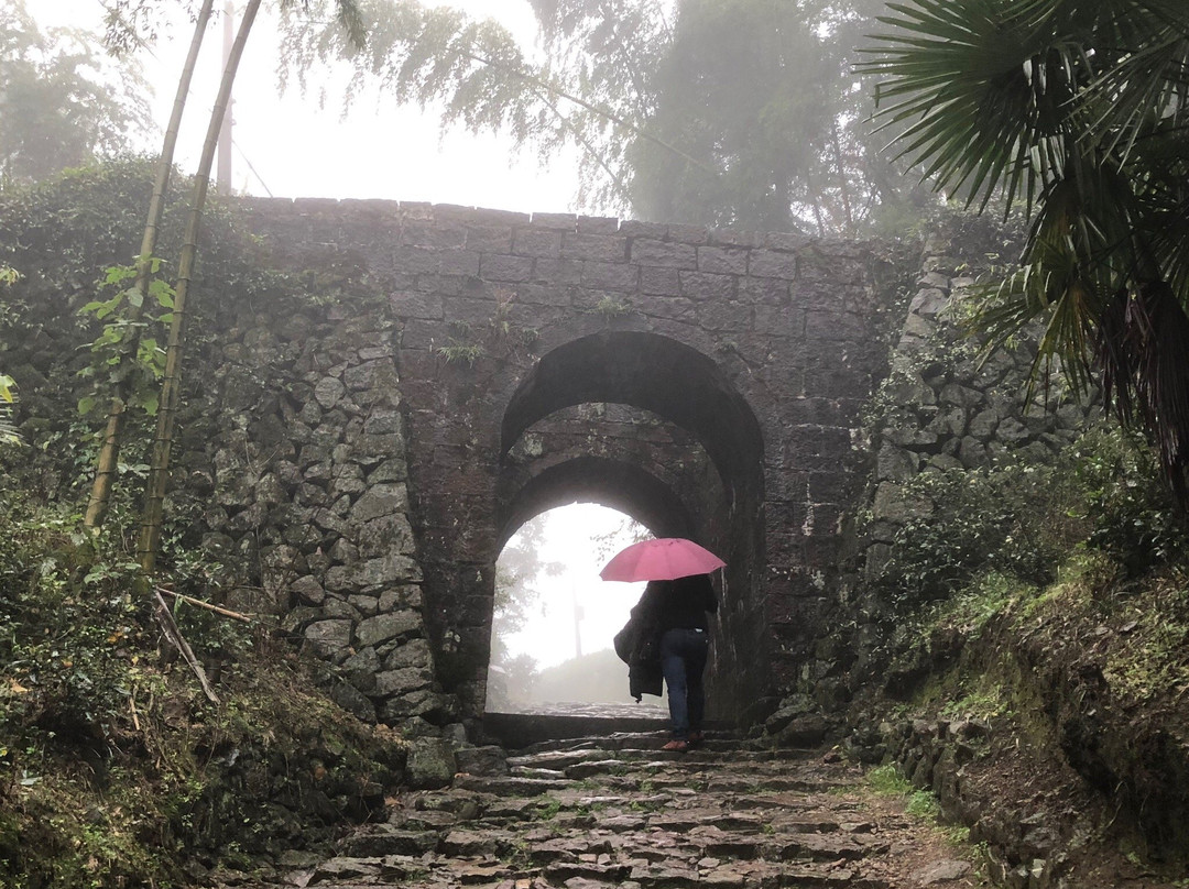仙霞森林公园-江山市必去景点