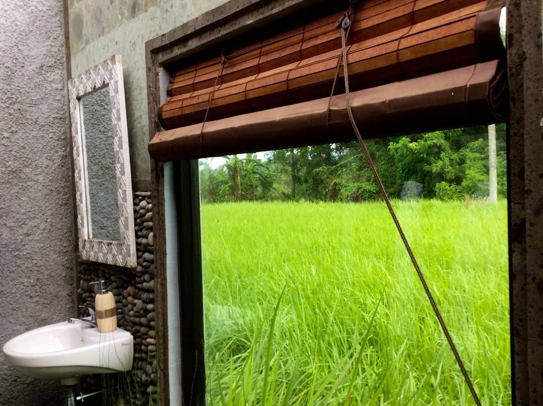 Rice Padi Artha主图