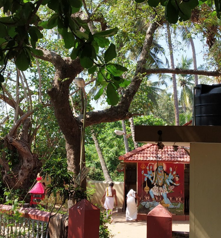 Vamil Temple-Thalassery必去景点