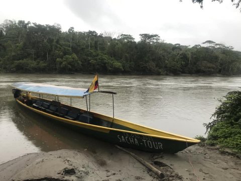 Cotococha Amazon Lodge-酒店景观