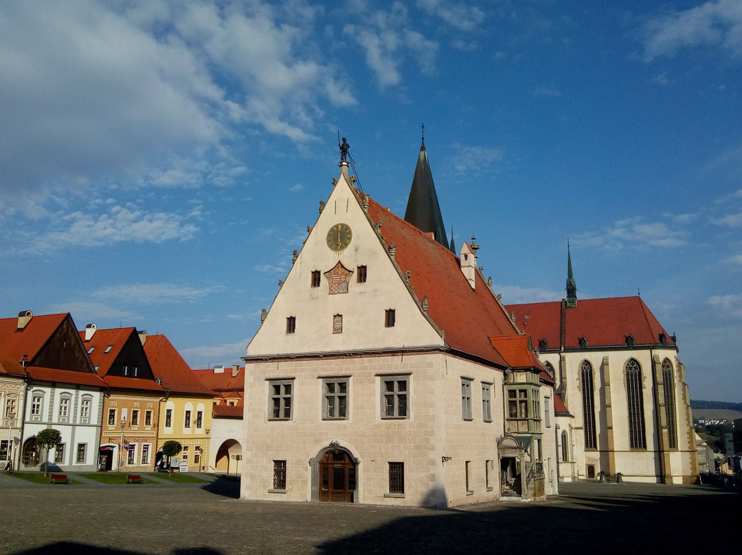 Saris Museum - Town Hall