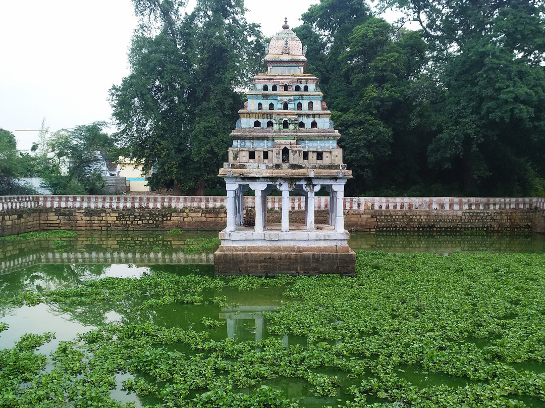 Thirupudaimaruthur Temple景点图片