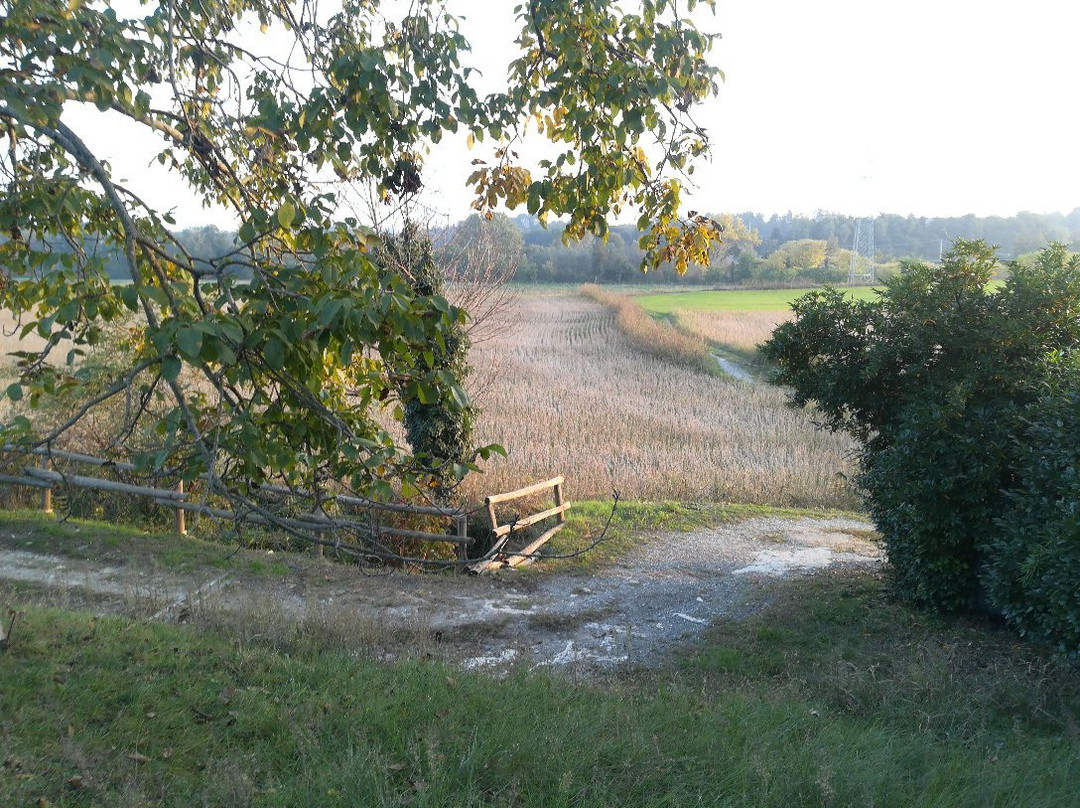 Parco Agronaturale della Dora Riparia-科莱尼奥必去景点