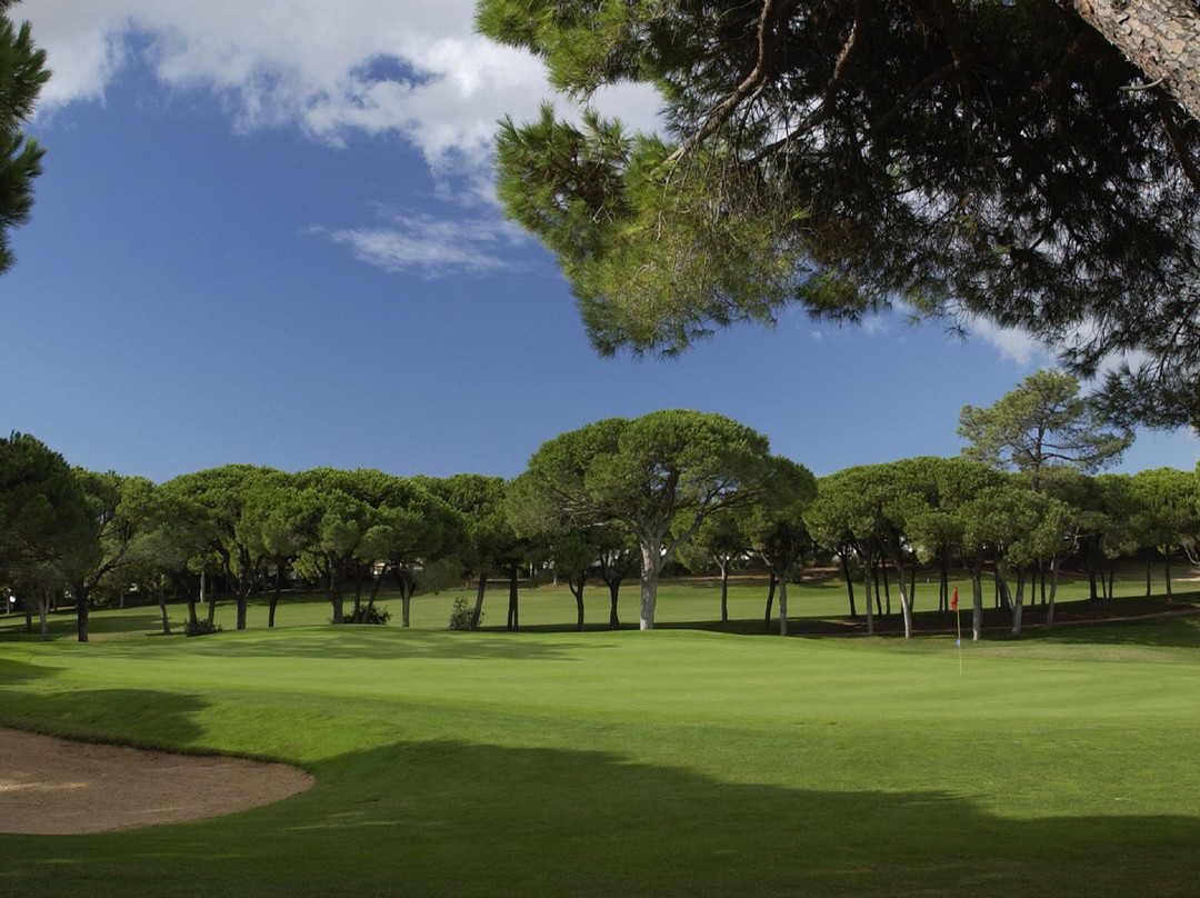 Dom Pedro Old Course - Golf Club景点图片