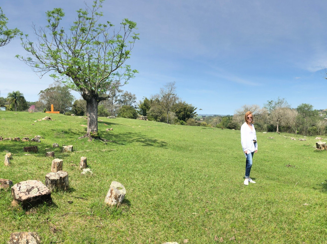 Jardim Paleobotânico de Mata景点图片
