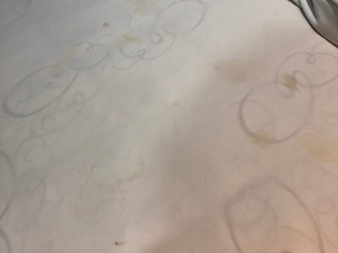 阿纳海姆小屋主图