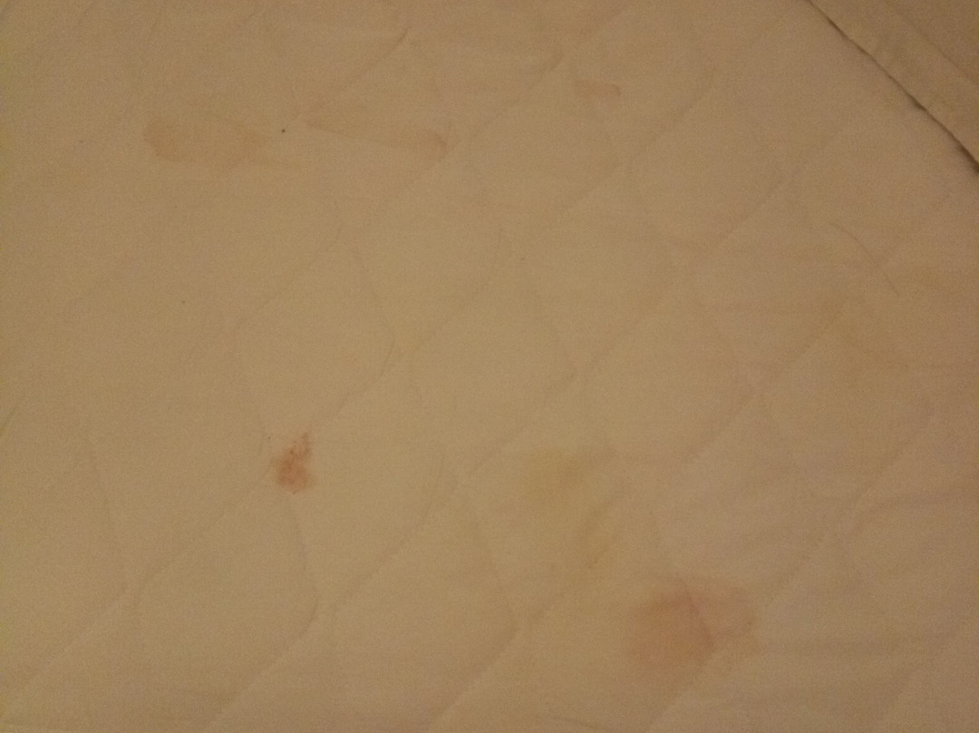 Sea Lion Firefly Concept Hotel主图