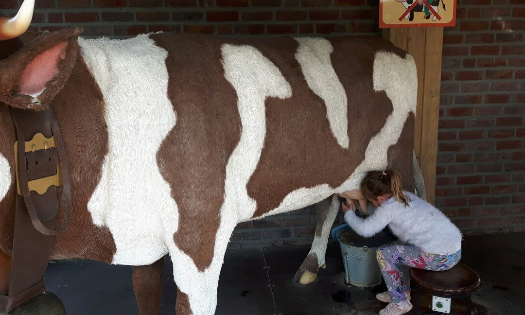 Twisteden旅游攻略图片