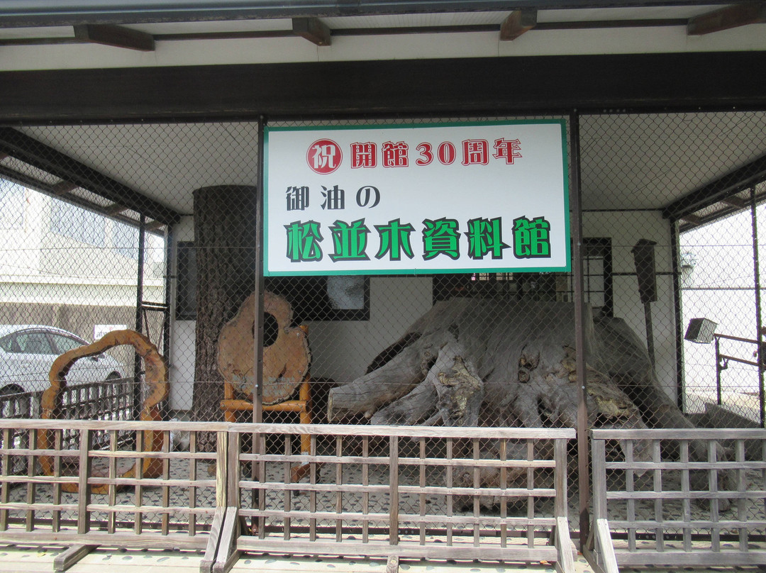 Goyuno matsunamiki Museum景点图片