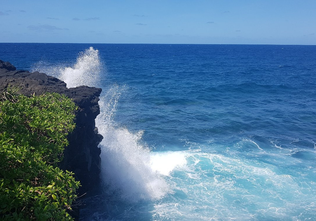 Coastal Lava Cliff Walk景点图片