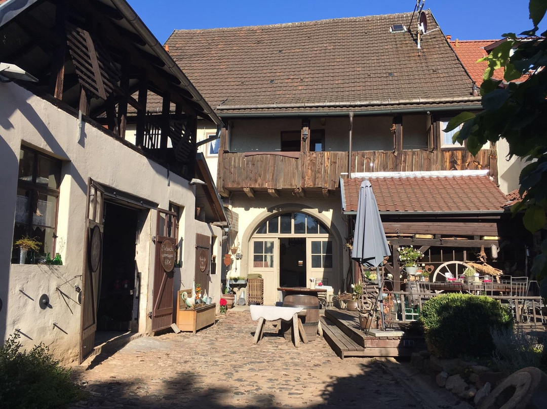 Bad Neustadt an der Saale旅游攻略图片