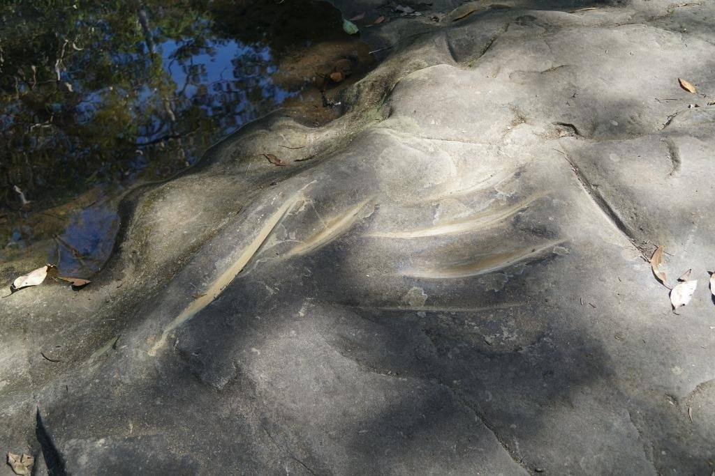 Little Rocky Creek景点图片