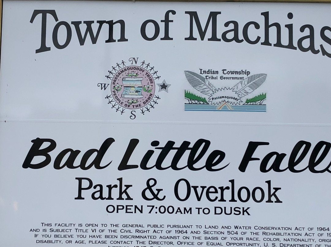 Bad Little Falls Park景点图片
