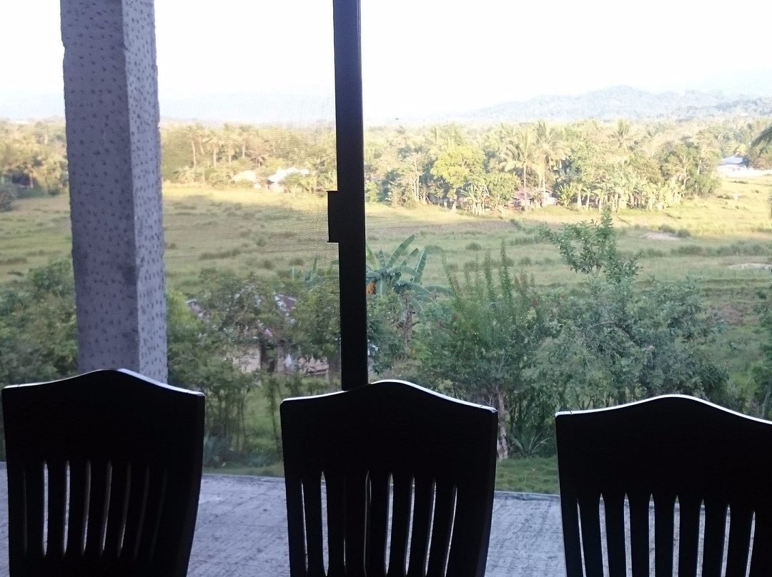 Villa del Carmen Haven Bohol主图