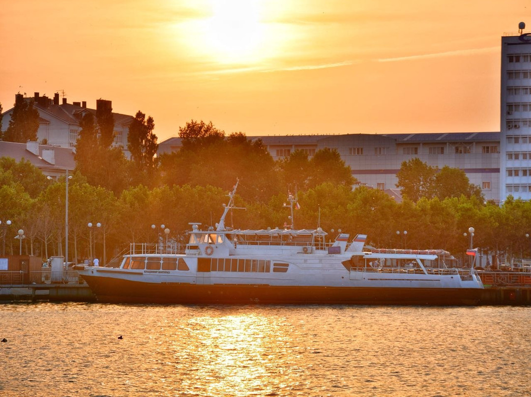 Ship Vladimir Shapurko景点图片