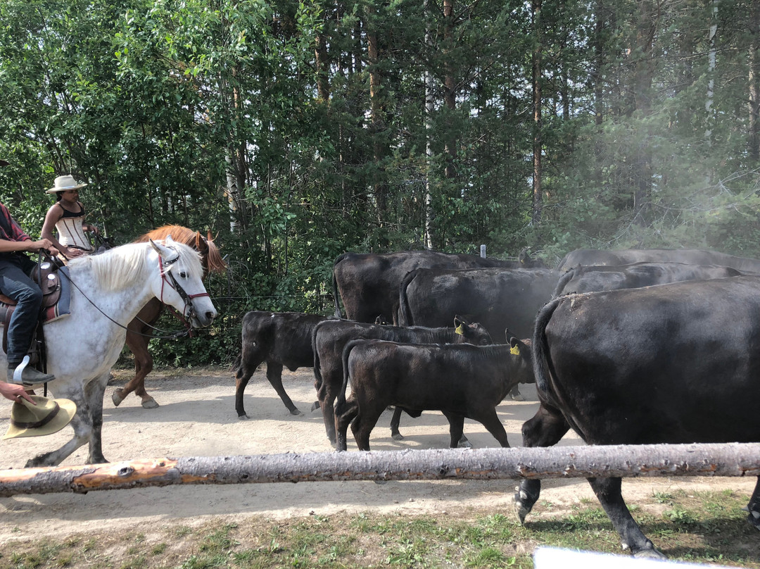Western Farm-Boden必去景点