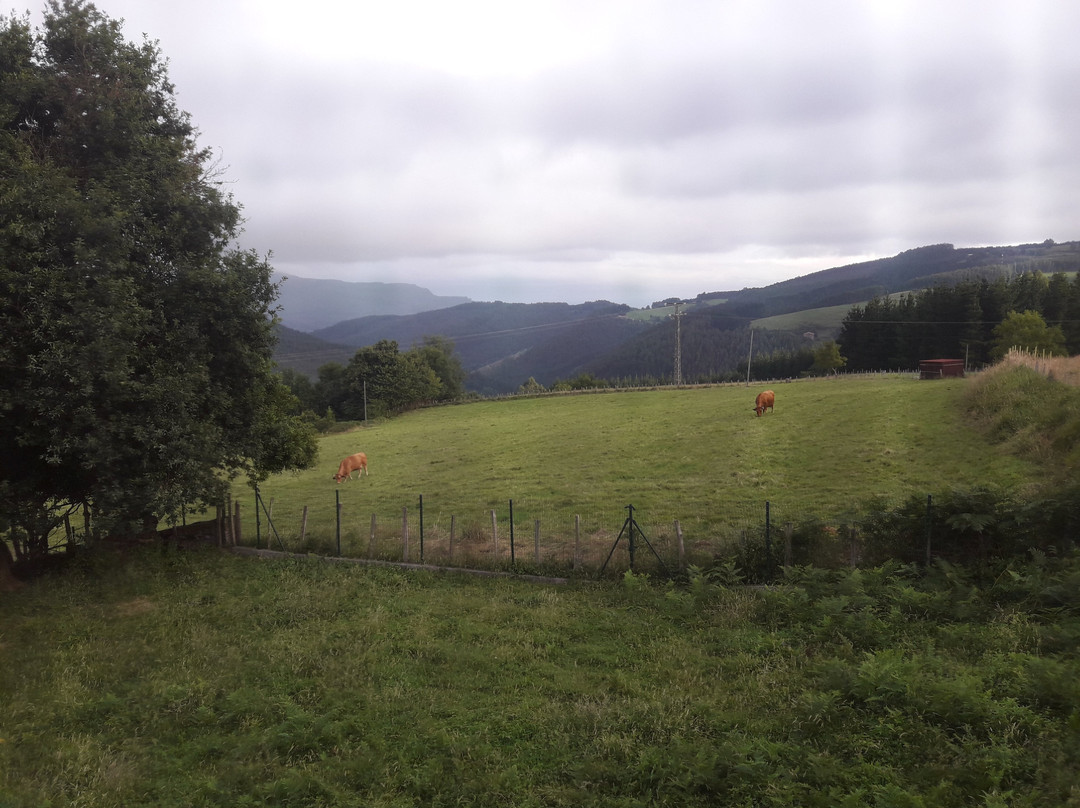 Casa Rura Arrizurieta Landetxea主图