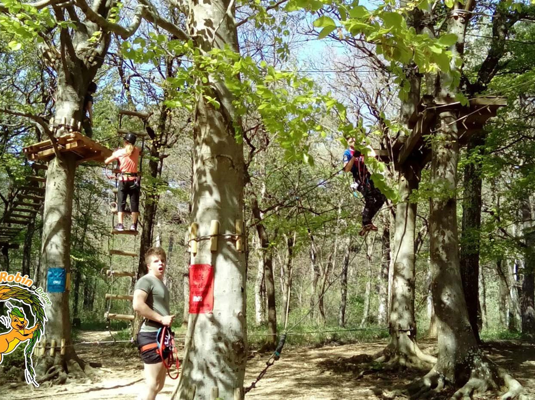 La Forêt de Robin景点图片