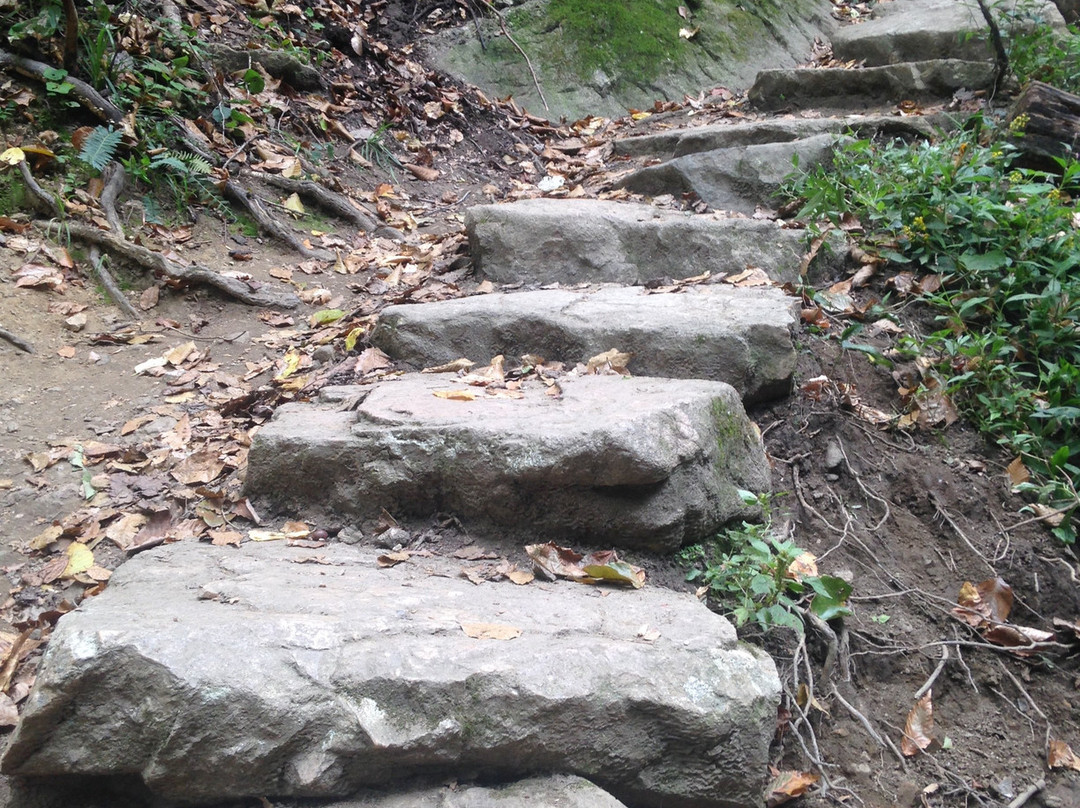 Patapsco Valley State Park景点图片