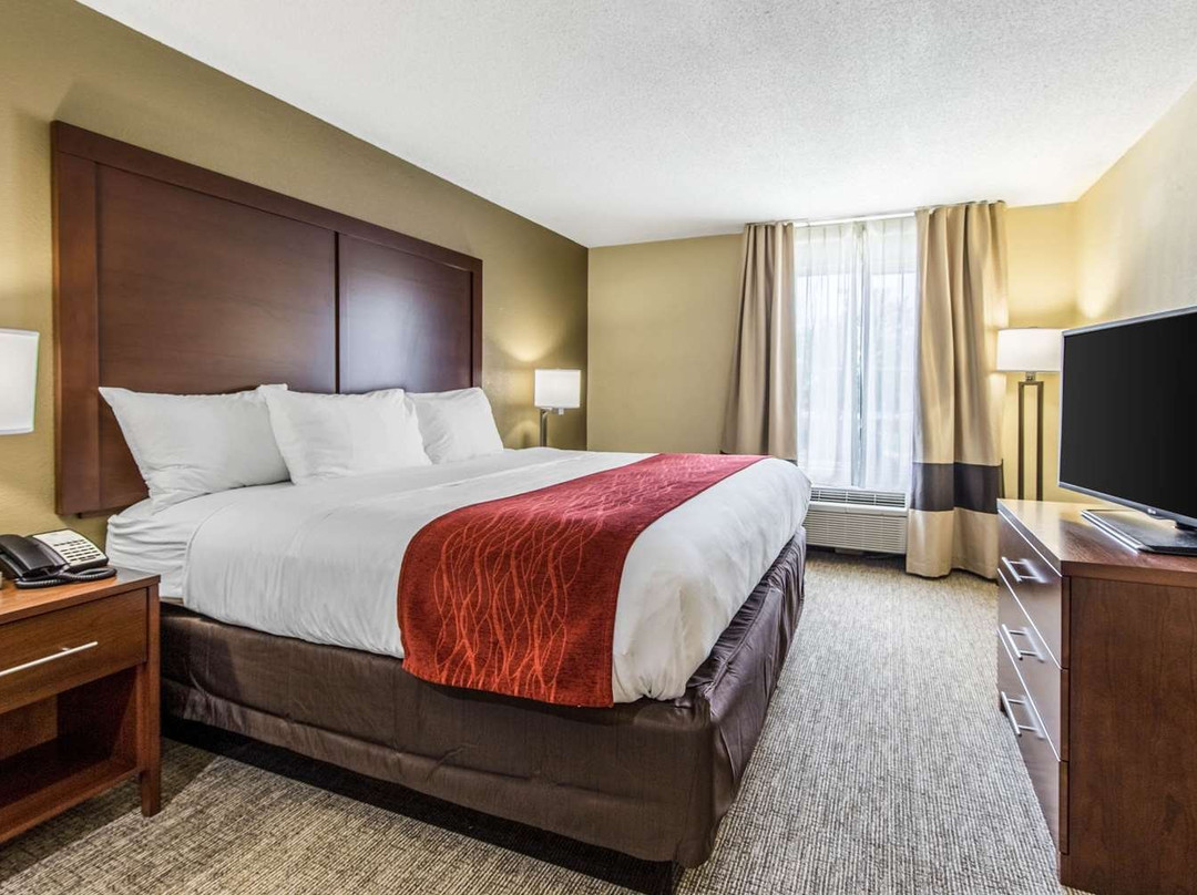 Comfort Inn & Suites Greenwood Near University主图