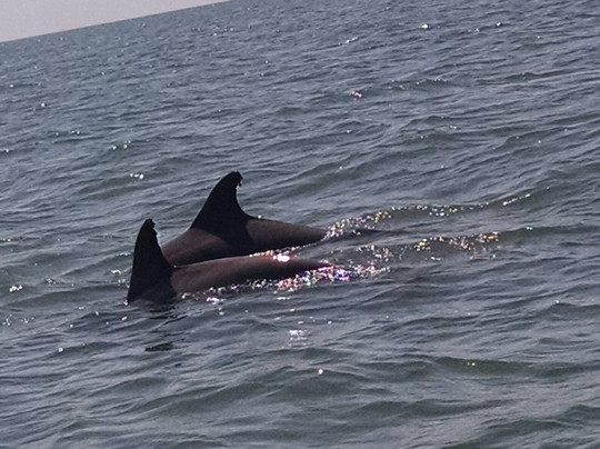 FishNMB-美特尔海滩必去景点