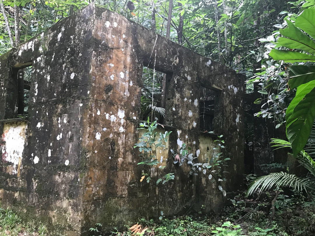 Grand Anse Waterfall景点图片