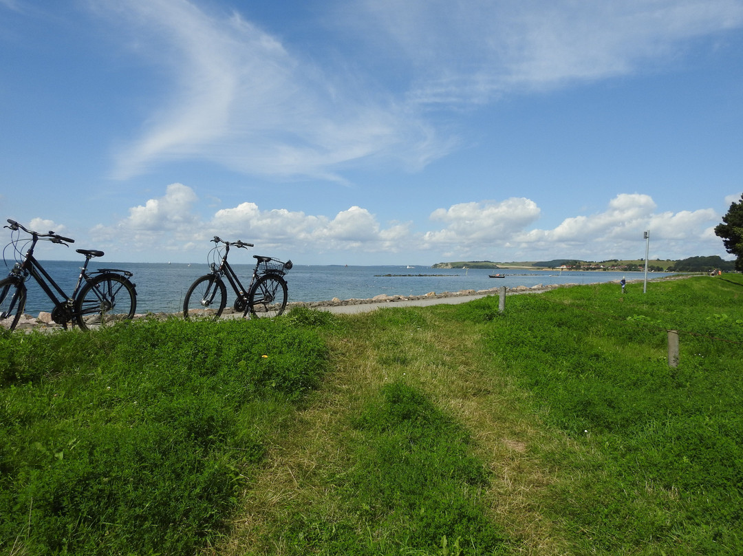 Fahrrad Tilly景点图片