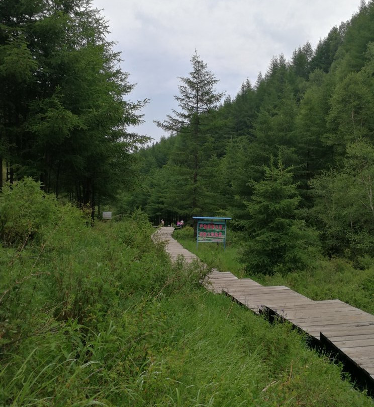 苏木山景区-乌兰察布市必去景点