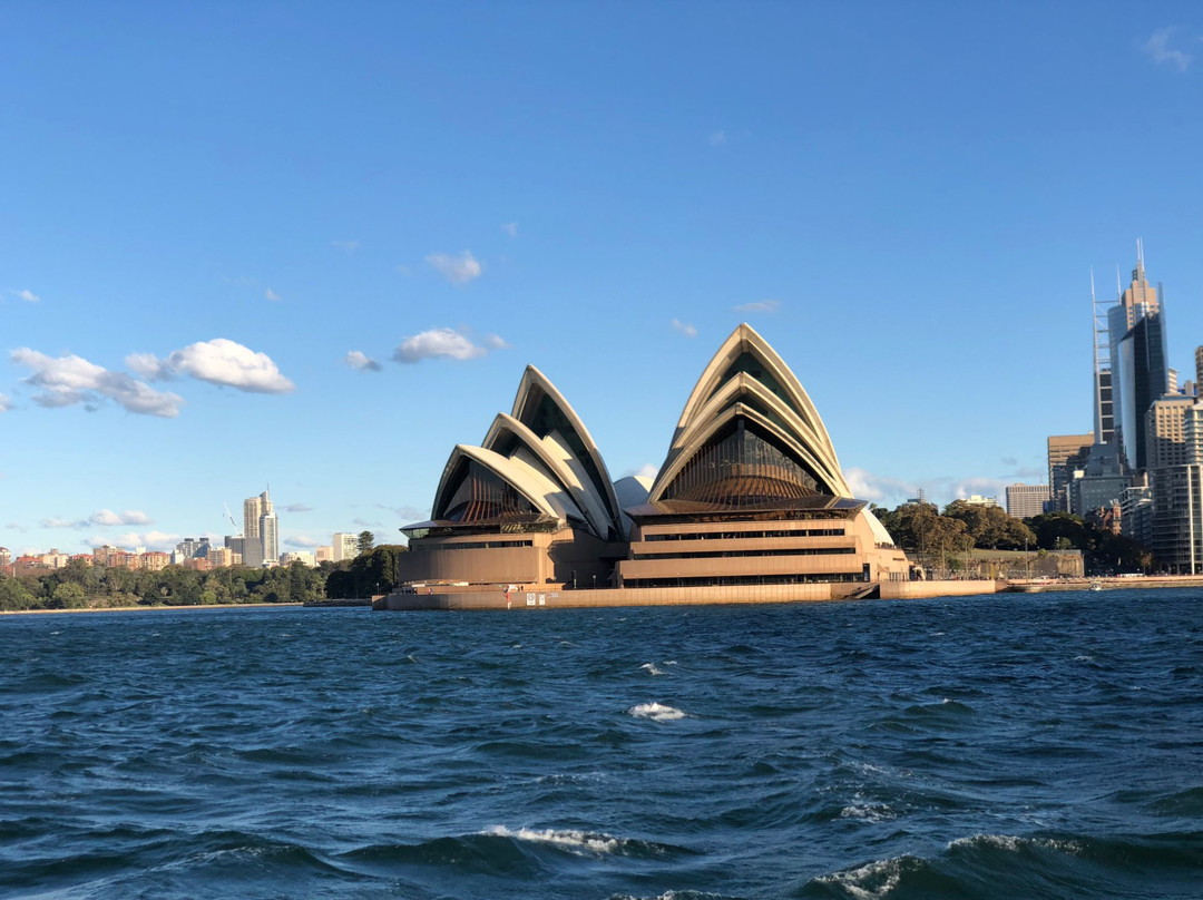 Sydney Harbour Specialists景点图片