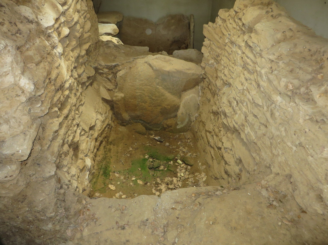 Etruscan necropolis of Prato Rosello-Artimino必去景点