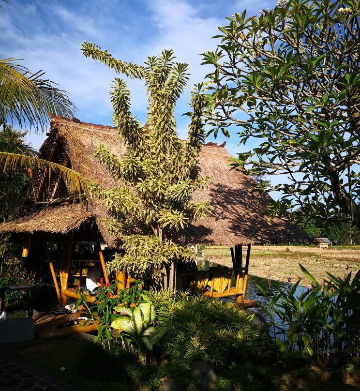 Bromelia Bali Tour & Transport Service - Day Tours-乌布必去景点