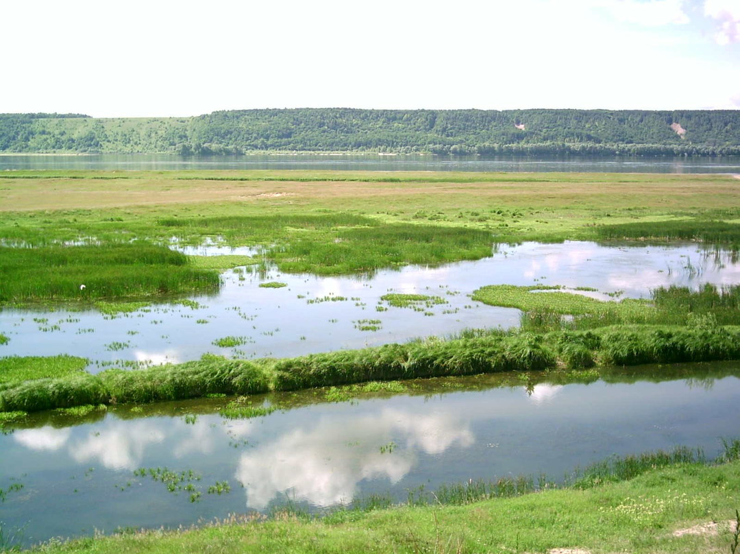 Zvenigovo旅游攻略图片