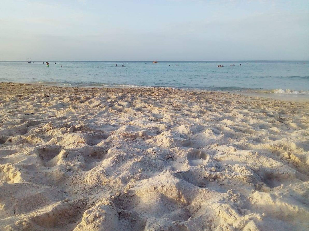 Dar Al Mansoura主图