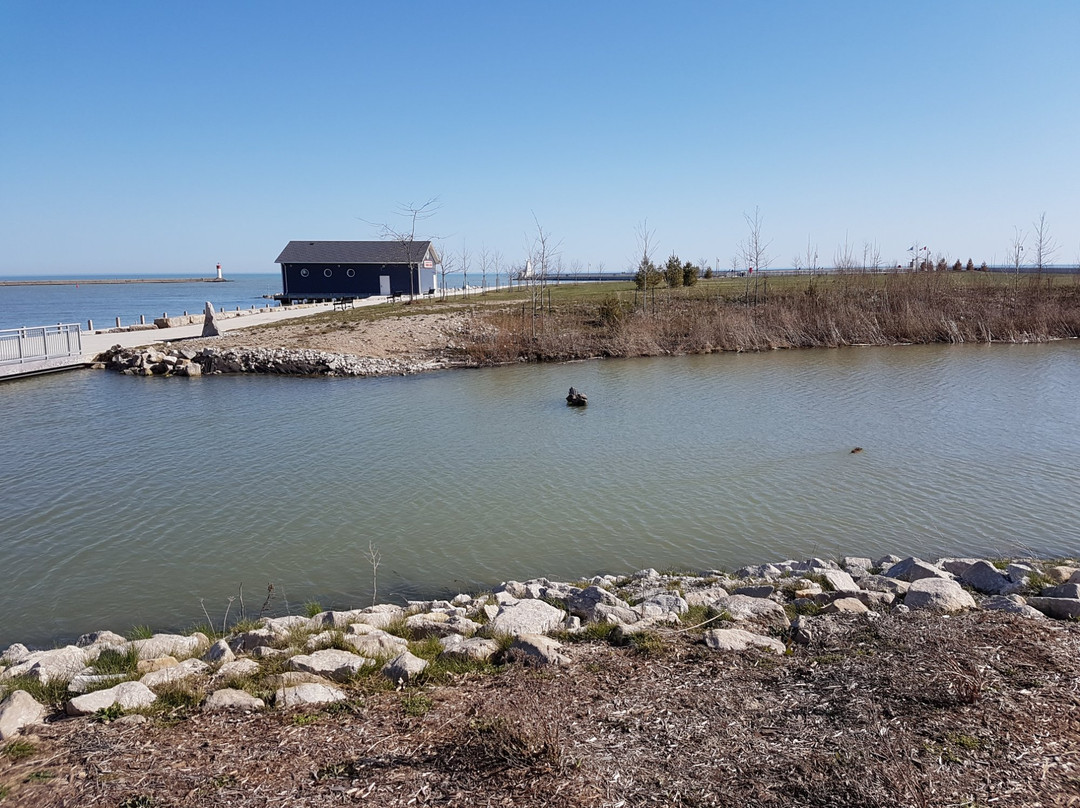 Port Stanley Lighthouse景点图片