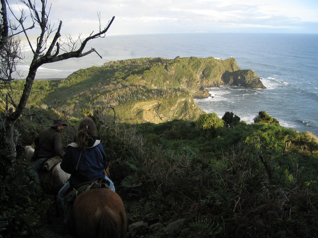 Palafito Trip Tours Chiloe-Cucao必去景点