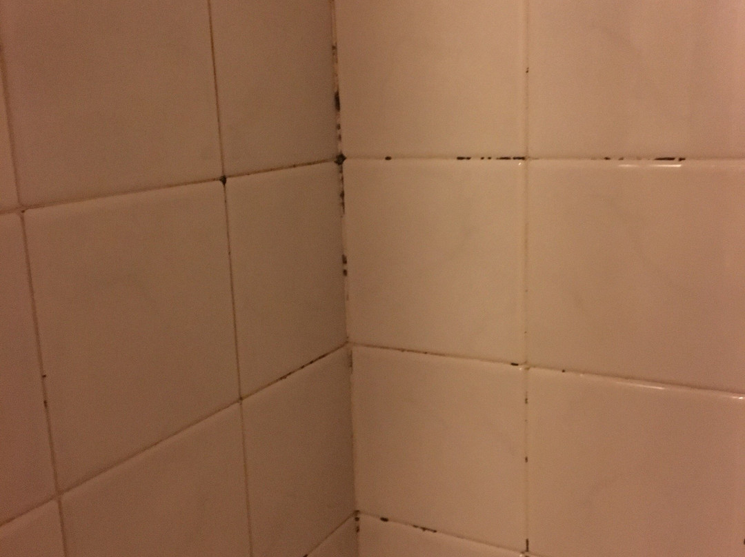 Hotel La Loggia主图