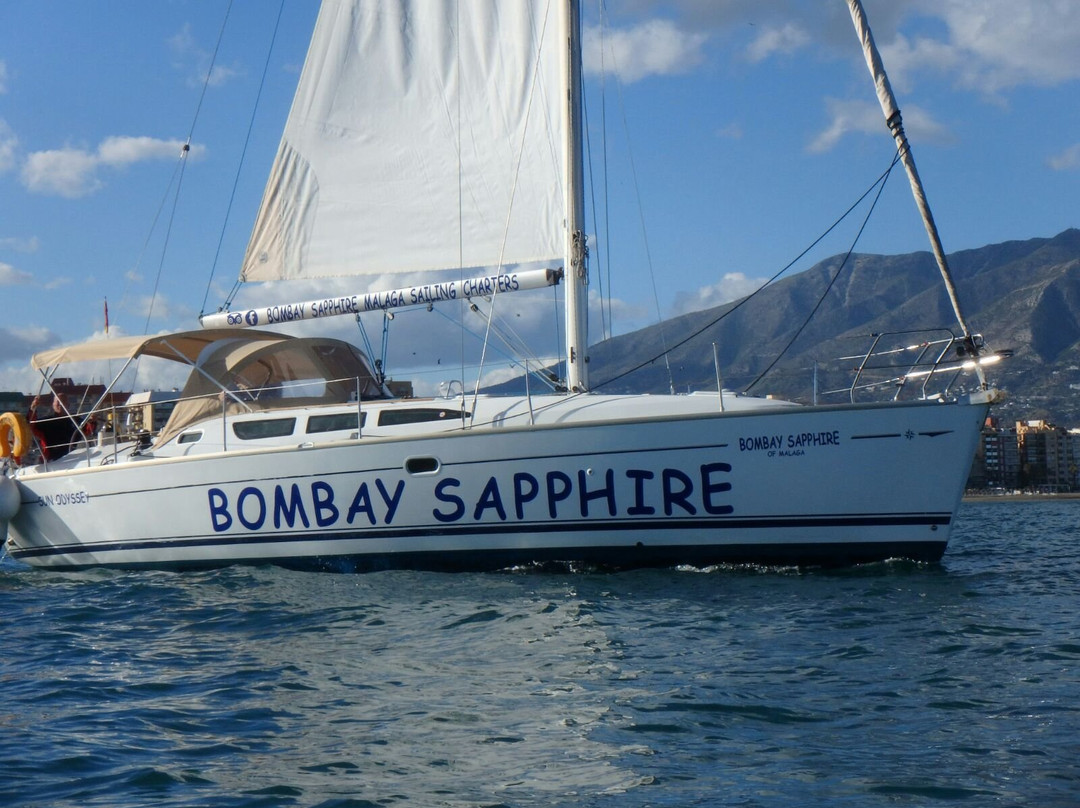 Dolphin Trips Bombay Sapphire-福恩吉罗拉必去景点