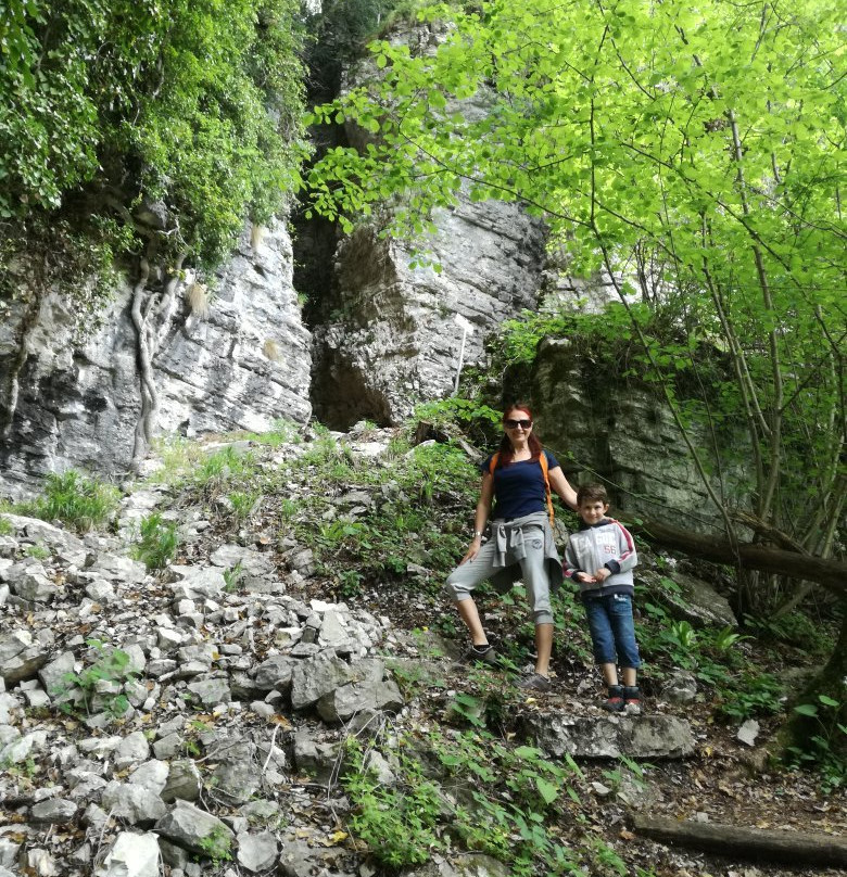 Forre del Torrente Ardo景点图片