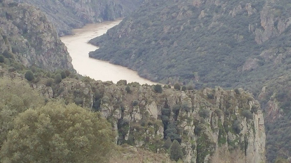 Fariza旅游攻略图片