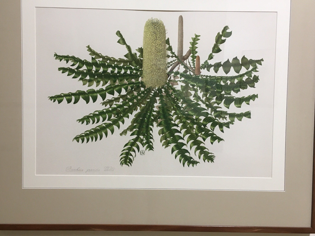 Hamilton Gallery-哈密尔顿必去景点