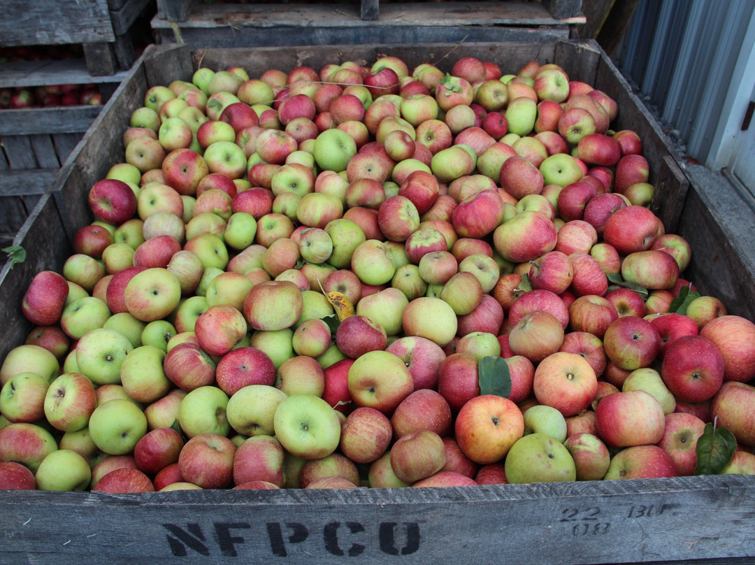 The Cider House景点图片