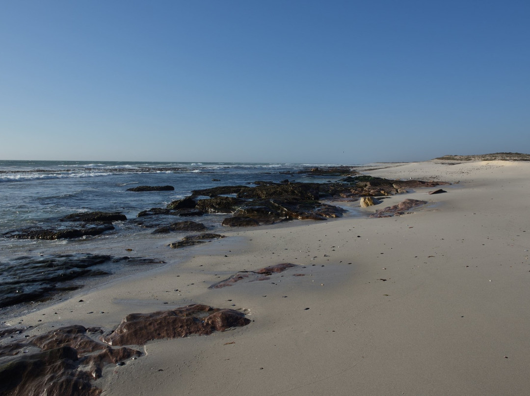 Grootvlei Guest Farm主图