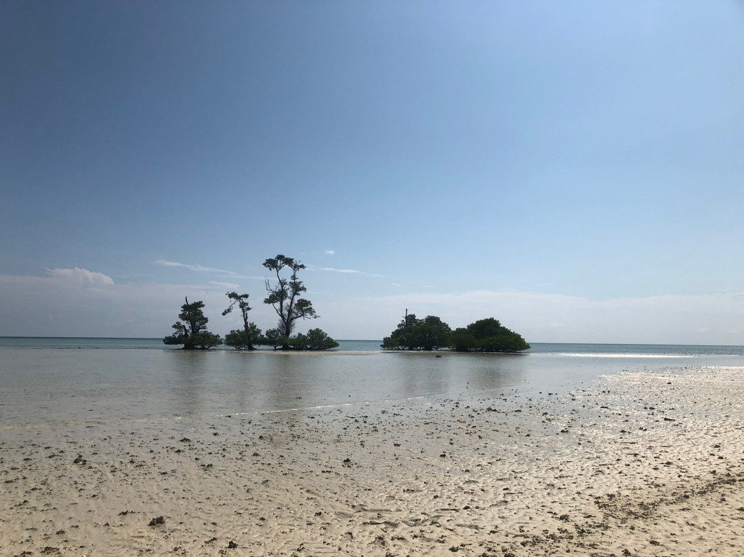 Manimbora Island景点图片
