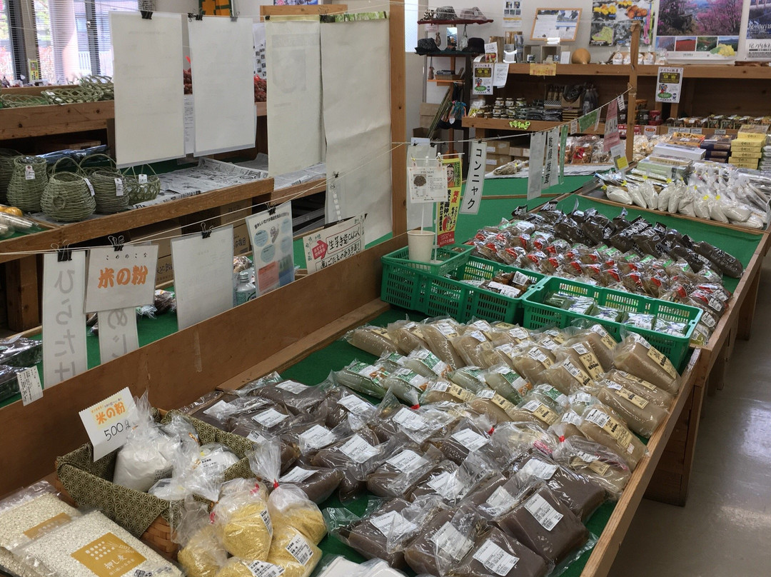 Michi-no-Eki  Ryokami Onsen Yakushi no Yu-小鹿野町必去景点