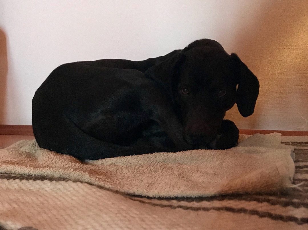 Nagyrakos旅游攻略图片