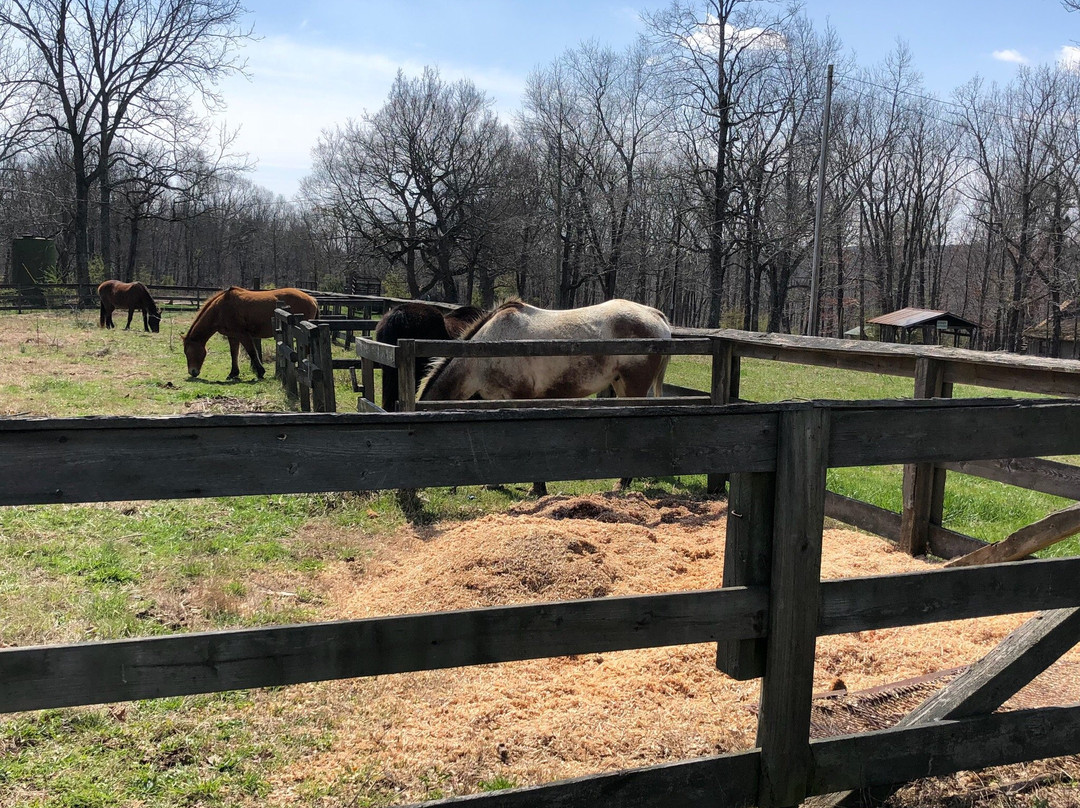 Shady Grove Ranch