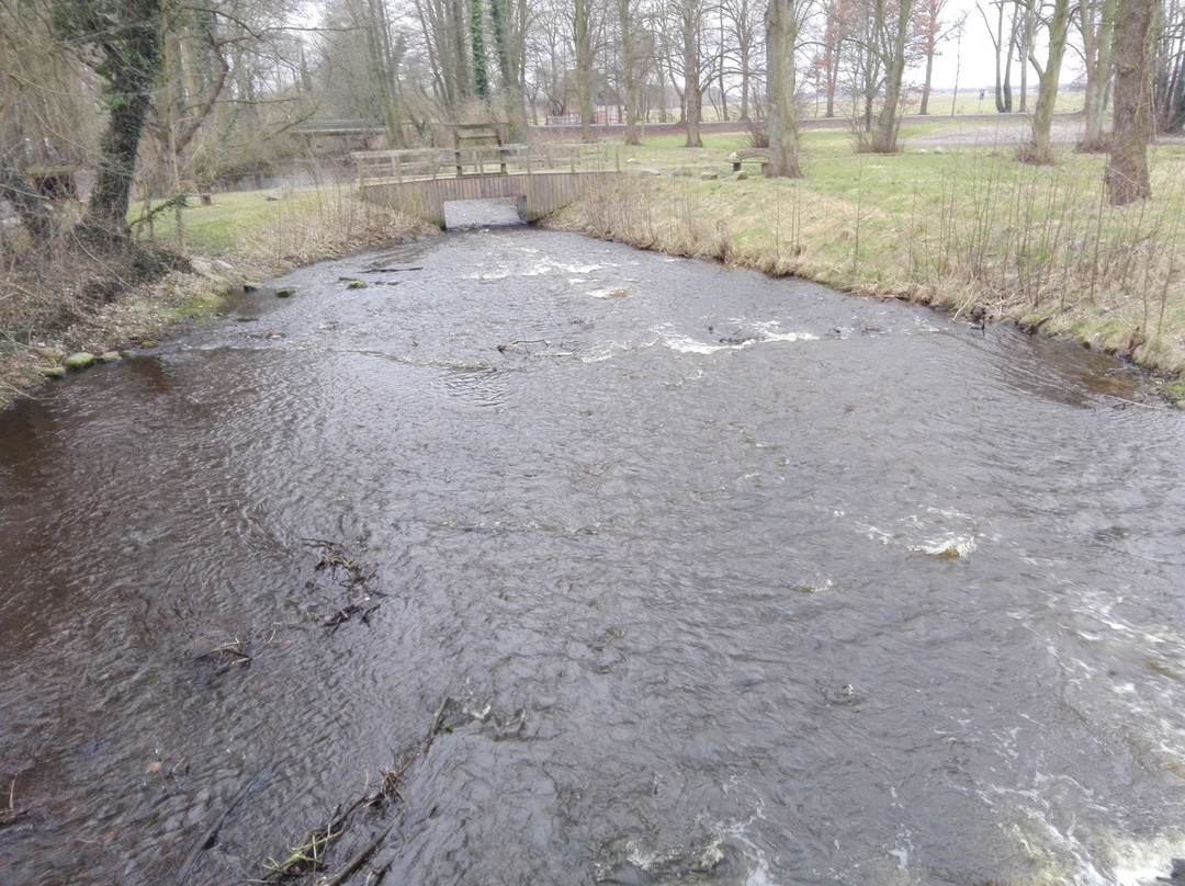 Fischerhude旅游攻略图片