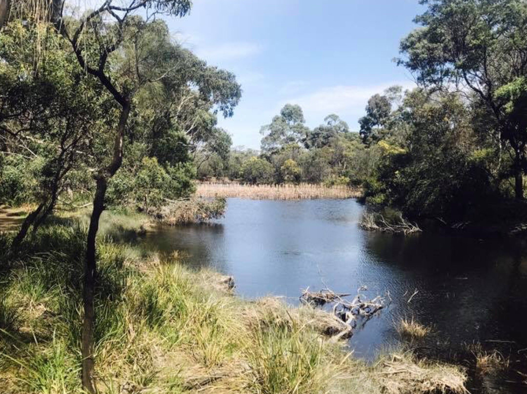 Wallington旅游攻略图片