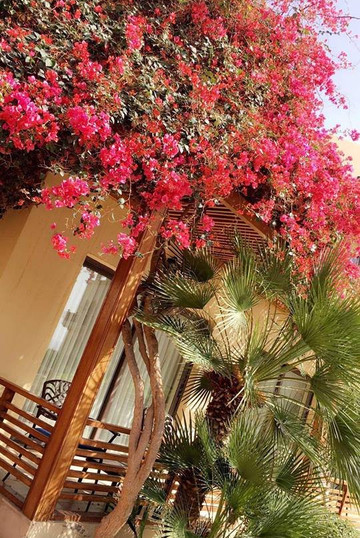 亚喀巴塔拉湾丽笙布鲁度假酒店主图