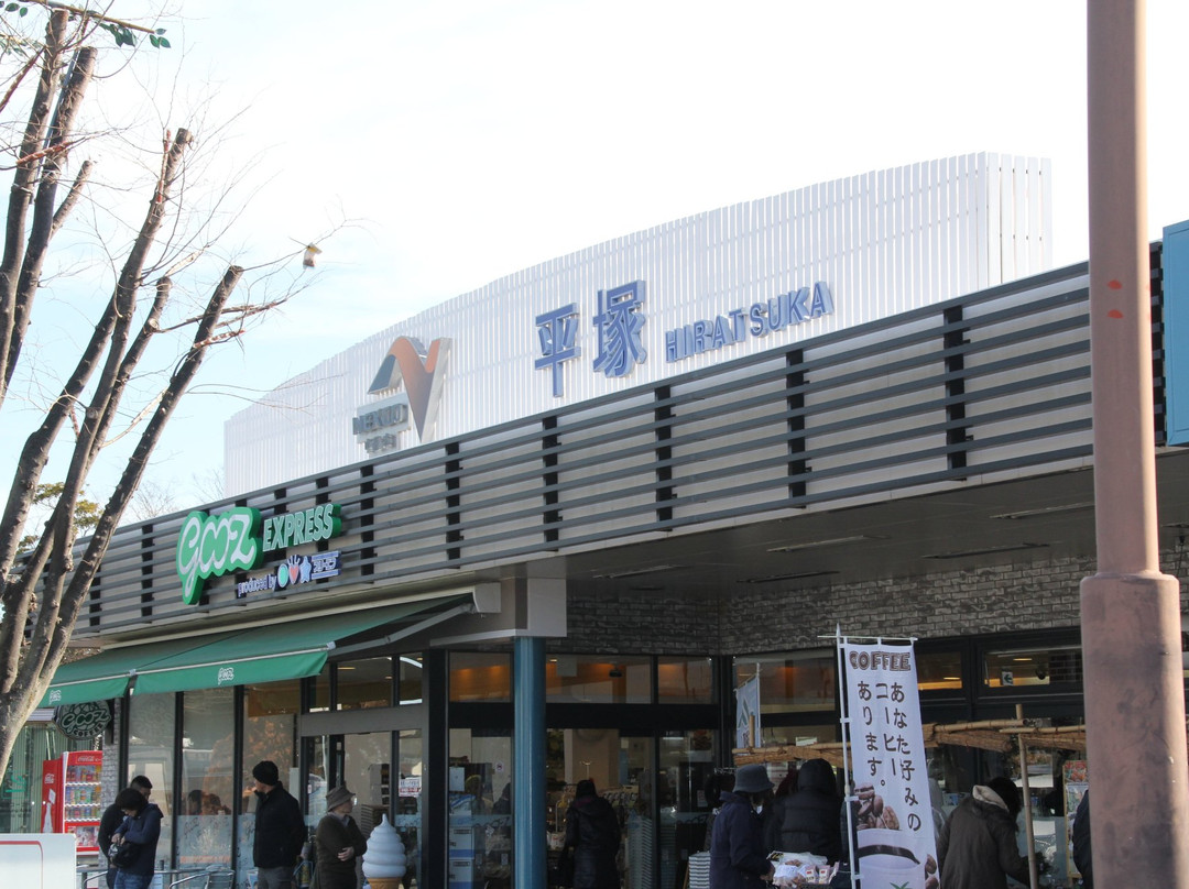 Hiratsuka Parking Area Downline